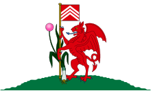 Flag of Cardiff.svg