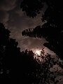 Luna Vista desde el Municipio en una Noche Nublada