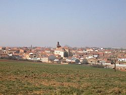 Skyline of Morales del Vino