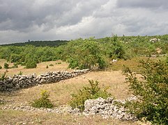 Paysage agricole sur le Larzac.