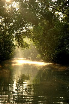 Užutėkis Sundarbanuose