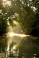 Image 26alt=Boat on a river in a densely forested plain. (from Culture of Bangladesh)