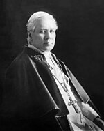 Pius X: imago