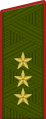 Insigne de colonel-général (uniforme de terrain de l'Armée de terre).