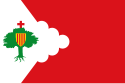 Montón - Bandera