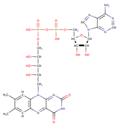 Flavin-adenin-dinukleotid.png