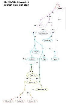 A qpGraph (best fit) by Maier et al. 2023, showing the formation of Ancient North Siberians/Eurasians (ANS/ANE) and their subsequent contribution to the formation of Ancient Paleo-Siberian