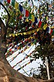 Bandiere di preghiera a Swayambunath, Kathmandu.