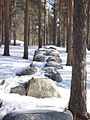 55 meter long double-line of double-boulders – Richard Nonas