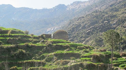 Stupa Amlukdara, afër Barikotit në Swat.