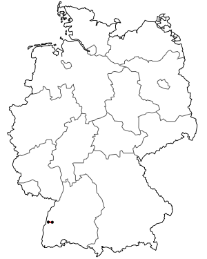 Verlauf der B 415