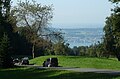 Das schmale Strässchen ist auch Wanderweg – hier auf der Nordseite mit Sicht auf den Zürichsee