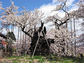 Mukawa (Yamanashi)