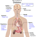 Symptome des Diabetes mellitus