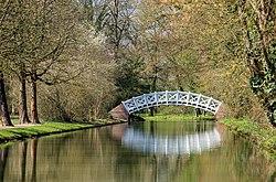 65. Platz: Roman Eisele mit Chinesische Brücke im Schlossgarten in Schwetzingen