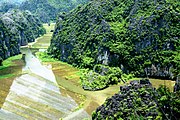 Ngô Đồng Nehri