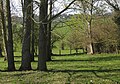 View to Linton ridge from Gorsley Common