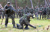 Soldados alemães e americanos em um exercício de treinamento.