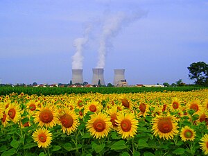 Kernkraftwerk Bugey und gelbe Sonnenblumen