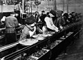 Assembly line in Ford 1913