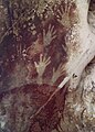 Image 23Pettakere Cave are more than 44,000 years old, Maros, South Sulawesi, Indonesia (from History of painting)