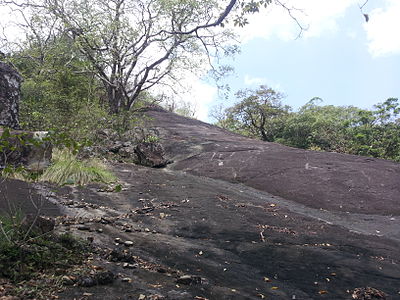 Kaludiya Pokuna Forest at Kandalama