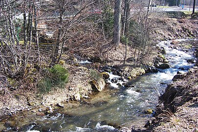 Die junge Dordogne stromaufwärts von Mont-Dore