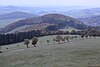 Blick vom Weiherberg südwestwärts zur Heidigskuppe