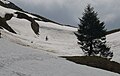 Pragelpass Ende Mai, kurz vor der Passhöhe von der Glarner Seite her;