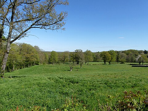 Paysage au nord du cimetière sud.