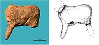 Epigravettian ceramic figurine of a horse or deer, Vela Spila, Croatia, dated to 15,400-14,600 BP.[13]