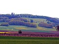 Gelber Berg von Norden gesehen