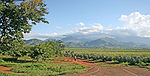 נוף חקלאי בטנזניה
