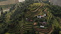 Terrassenlandwirtschaft bei Pokhara, Nepal