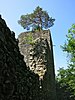 Ruine Weissenau