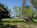 Delta Marsh Field Station