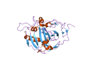 1z97: Human Carbonic Anhydrase III: Structural and Kinetic Study of Catalysis and Proton Transfer.