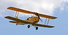 Yellow Tiger Moth Góraszka.JPG