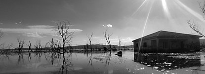 View of Thousand trees location in Doiran Lake, Greece. Photograph: Paneos77