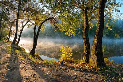 نمایی از پارک ملی استان دونتسک در اوکراین