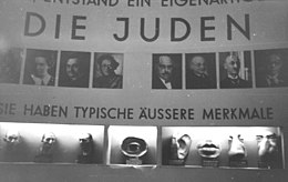 Photographie en noir et blanc d'une vitrine exhibant des moulages de crânes, d'oreilles et de nez correspondant aux caricatures antisémites du prétendu Juif typique.