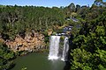 Dangar Falls at Dorrigo.