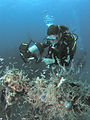 Diver and fish, MV River Taw wreck