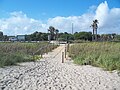 Path over dune