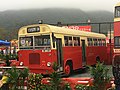 九龍巴士被保存的亞比安維京