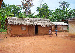 استفاده از برگ‌های درخت موز برای پوشش سقف در کامرون