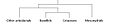 Image 28Possible relationships between cetaceans and other ungulate groups. (from Evolution of cetaceans)