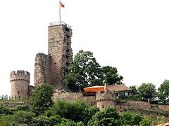 Ruine Wachtenburg bei Wachenheim