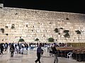 Caper bushes on the Western Wall in Jerusalem