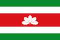 Bojakos departamento vėliava